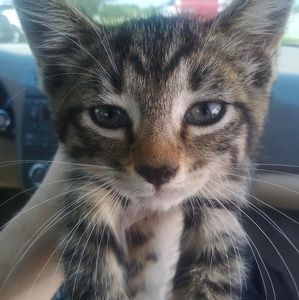 Meet your Posher, Ethan